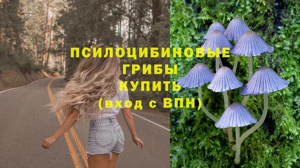 Альфа ПВП Богородицк